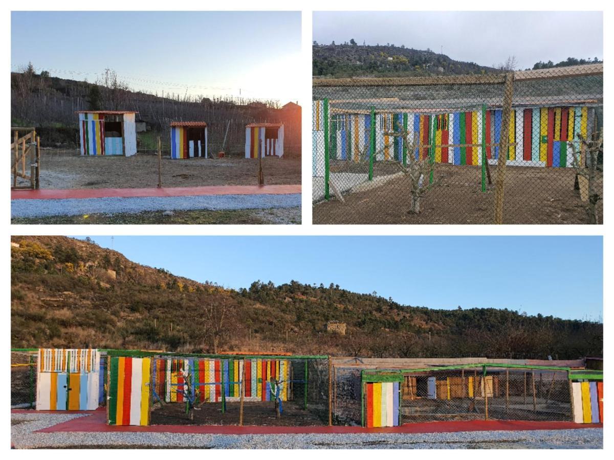 Gojim Casa Rural Armamar Exterior foto