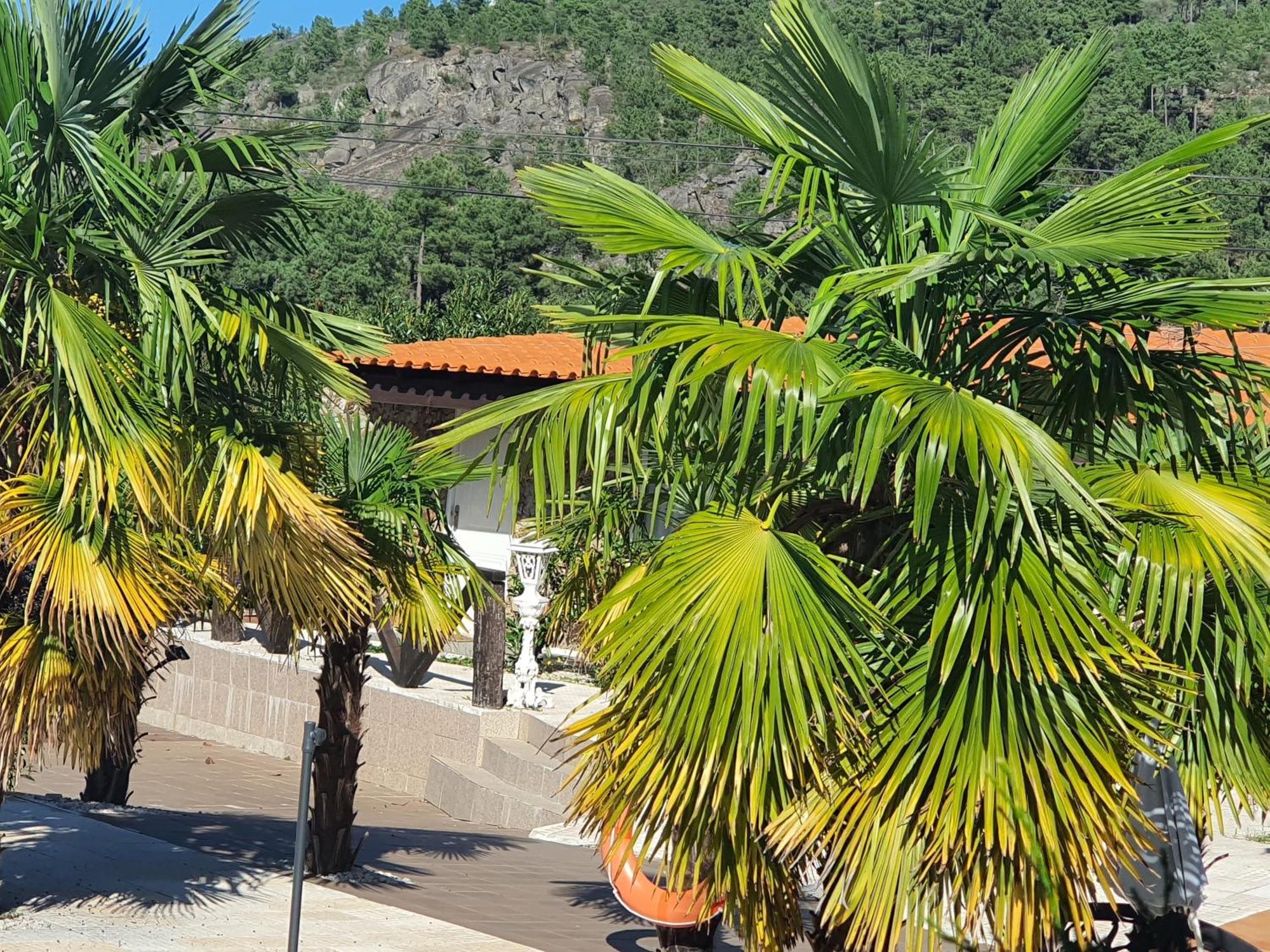 Gojim Casa Rural Armamar Exterior foto